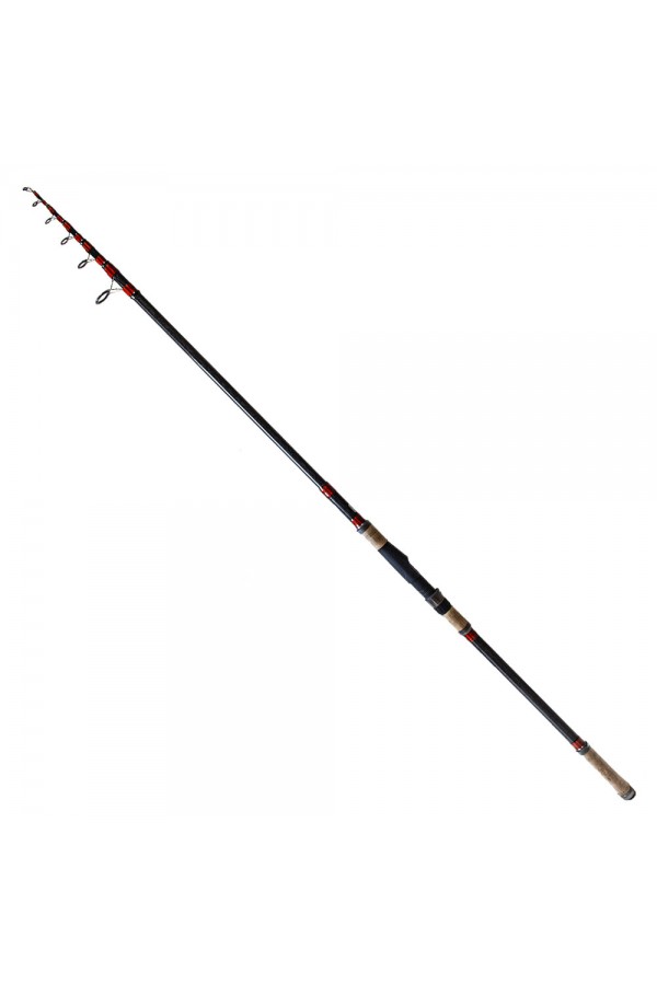 Big Fish 3.00m 60-120gr Karbon Tele Kamış