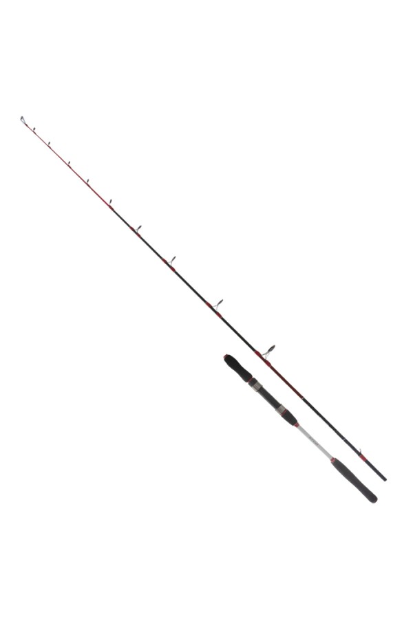 Ryuji Searider 1.80m 60-180gr 2P Jig Kamış