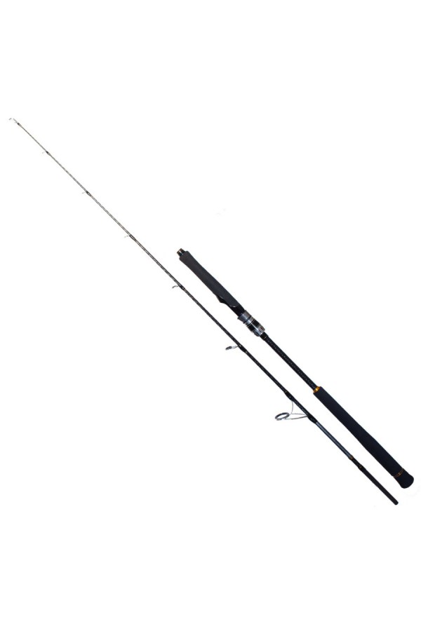 Ryuji Seawolf 1.80m 300-600gr 2P Jig Olta Kamışı