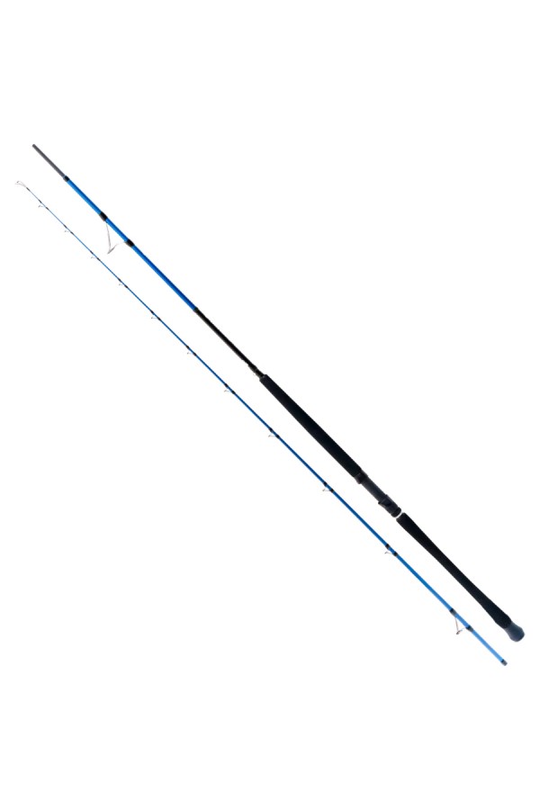 Ryuji Shore Game Fuji 2.85m 25-85gr 2P Shore Jig Kamış