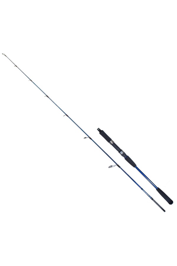 Ryuji Strobe II 1.68m 40-110gr 2P Jig Olta Kamışı